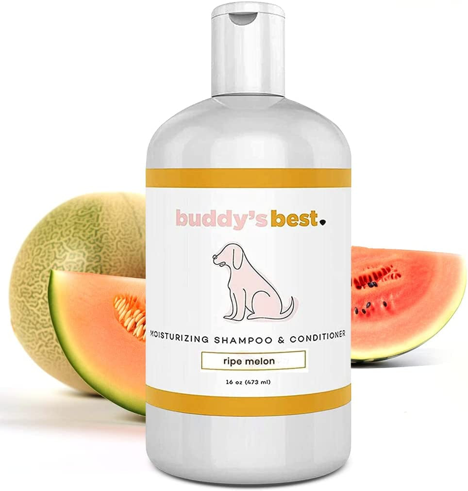 Dog Shampoo for Smelly Dogs - Dog Shampoo and Conditioner for Dry and Sensitive Skin - Moisturizing Puppy Wash Shampoo, Coconut Vanilla Bean Scent, 16Oz