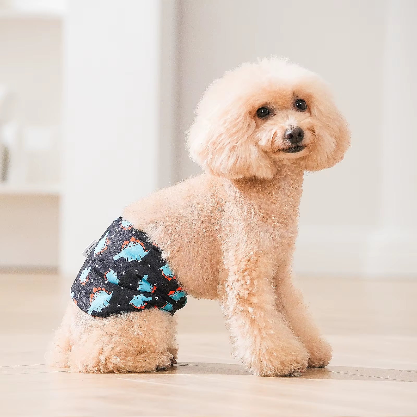 (3Pcs per Pack) Cute bone Reusable Male Dog Diapers
