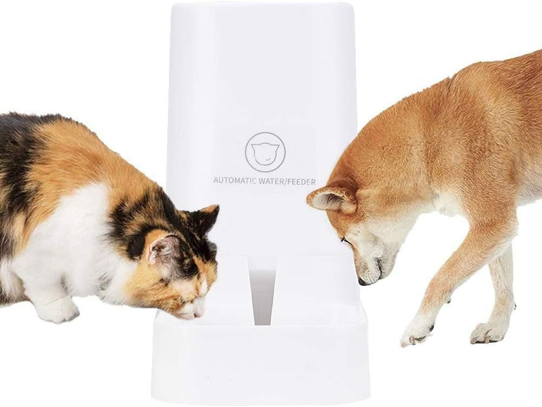 Automatic Feeder Set, 1-Gallon Water Dispenser and 2.1Kg Pet Food Feeder, Small Pet Waterer and Feeder, Self-Dispensing, Polypropylene Material, for Cats and Dogs