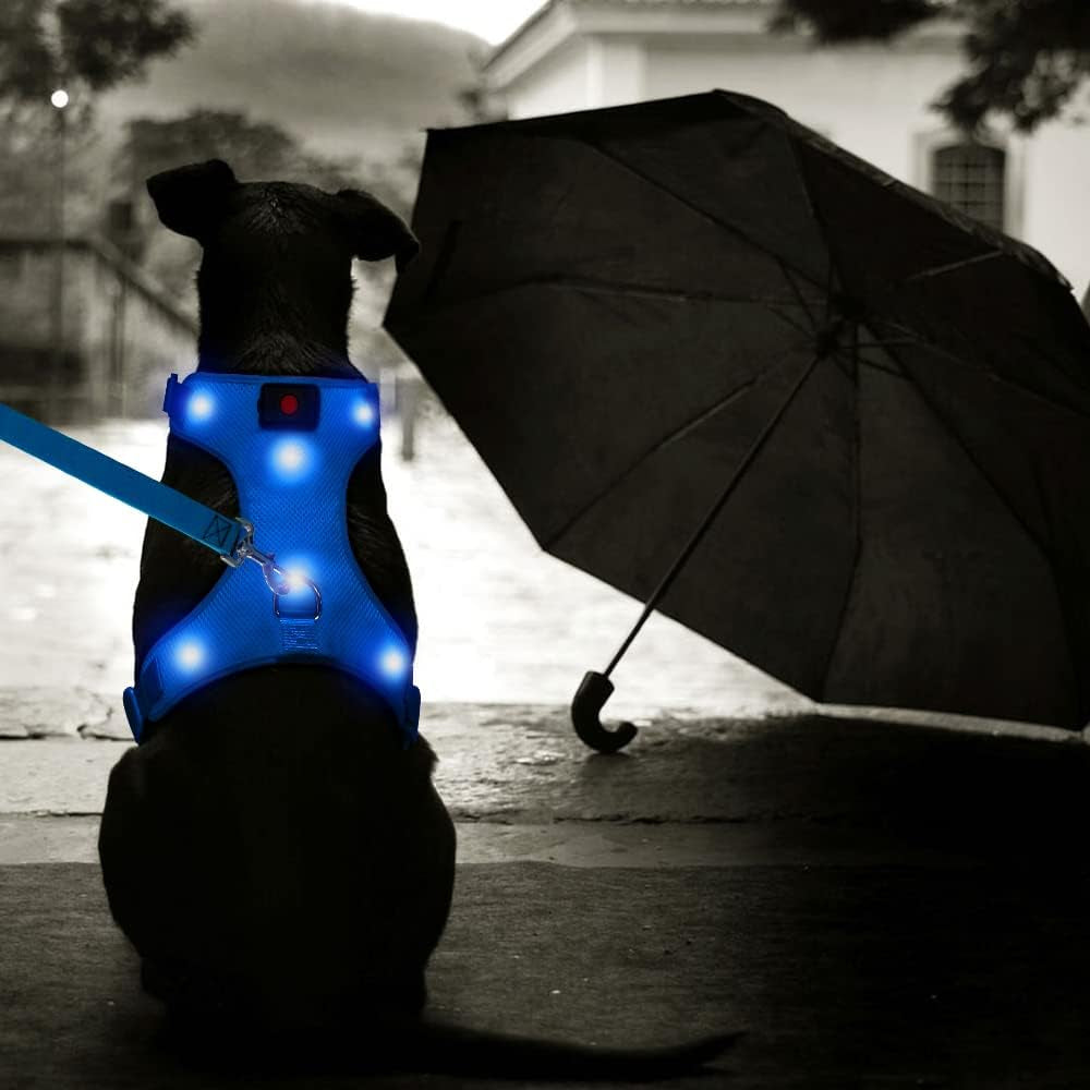 LED Dog Harness,Lighted up USB Rechargeable Pet Harness,Illuminated Reflective Glowing Dog Vest Adjustable Soft Padded No-Pull Suit for Small,Medium,Large Dogs (Blue, M)