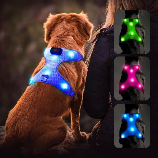 LED Dog Harness,Lighted up USB Rechargeable Pet Harness,Illuminated Reflective Glowing Dog Vest Adjustable Soft Padded No-Pull Suit for Small,Medium,Large Dogs (Blue, M)