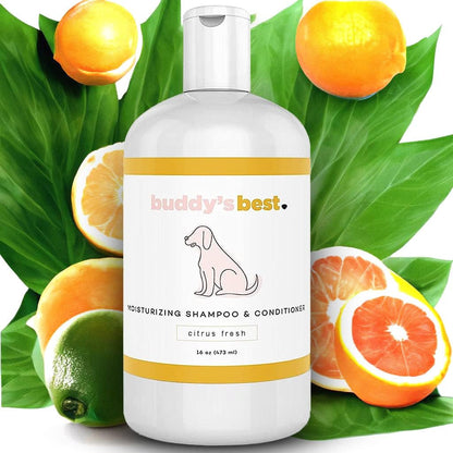 Dog Shampoo for Smelly Dogs - Dog Shampoo and Conditioner for Dry and Sensitive Skin - Moisturizing Puppy Wash Shampoo, Coconut Vanilla Bean Scent, 16Oz