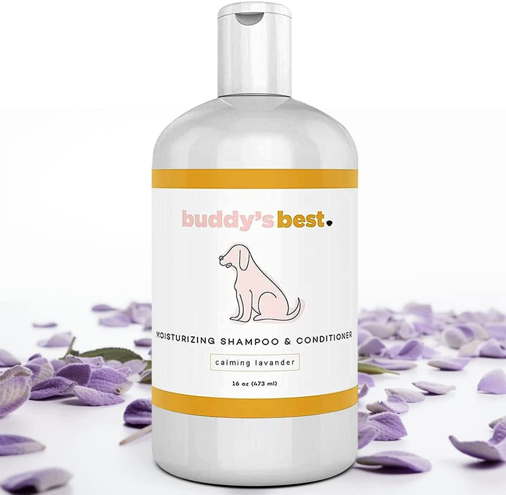 Dog Shampoo for Smelly Dogs - Dog Shampoo and Conditioner for Dry and Sensitive Skin - Moisturizing Puppy Wash Shampoo, Coconut Vanilla Bean Scent, 16Oz