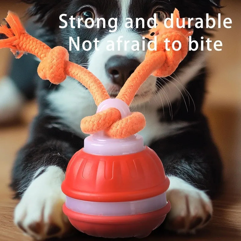 Smart Dog Toys Interactive Teasing Ball with Motion Activated Automatic Moving