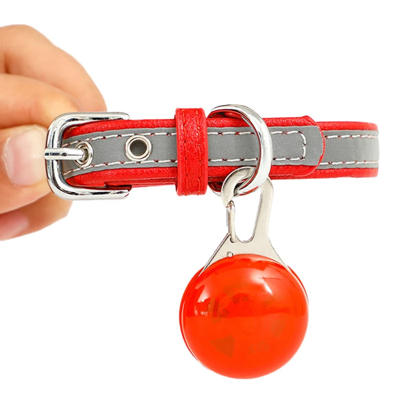 Pet Leads Glow Accessories Bright Necklace Luminous Collar