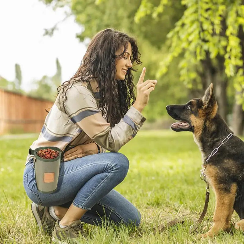 Portable Dog Treat Bag Puppy Training Treat Snack Bag