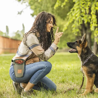 Portable Dog Treat Bag Puppy Training Treat Snack Bag
