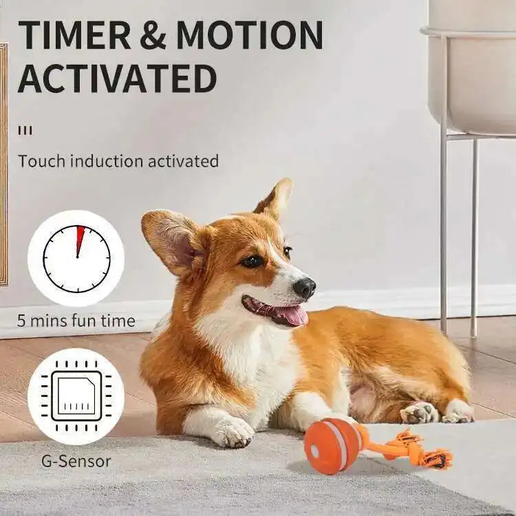 Smart Dog Toys Interactive Teasing Ball with Motion Activated Automatic Moving