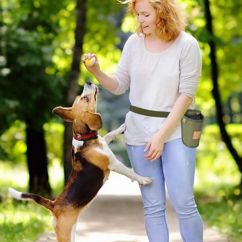 Portable Dog Treat Bag Puppy Training Treat Snack Bag