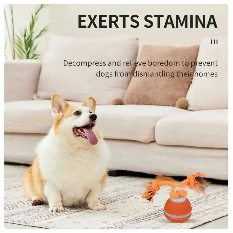Smart Dog Toys Interactive Teasing Ball with Motion Activated Automatic Moving