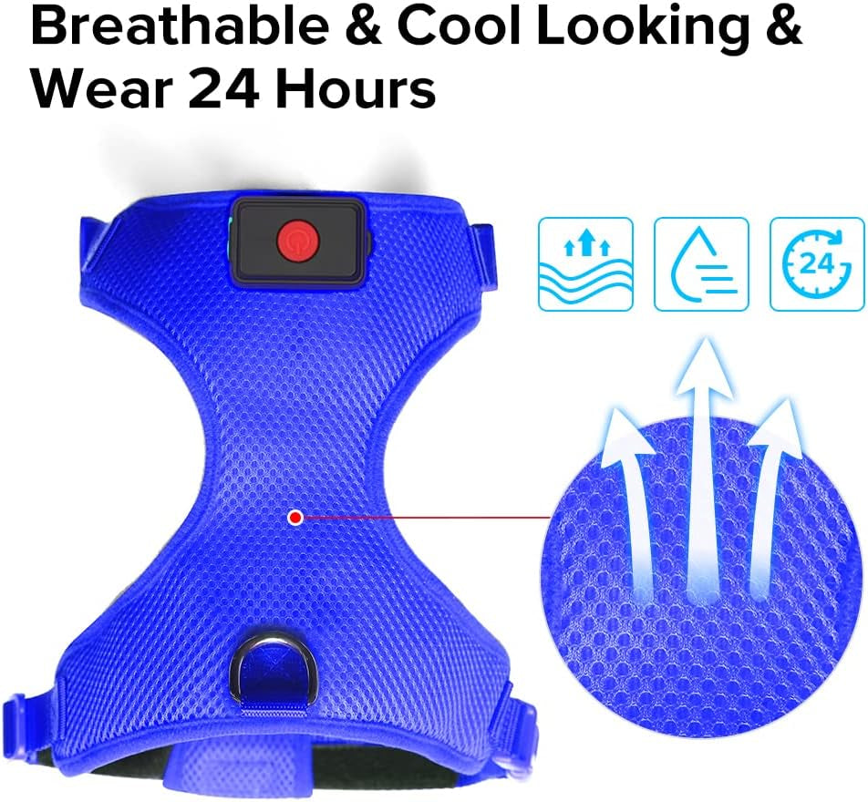 LED Dog Harness,Lighted up USB Rechargeable Pet Harness,Illuminated Reflective Glowing Dog Vest Adjustable Soft Padded No-Pull Suit for Small,Medium,Large Dogs (Blue, M)