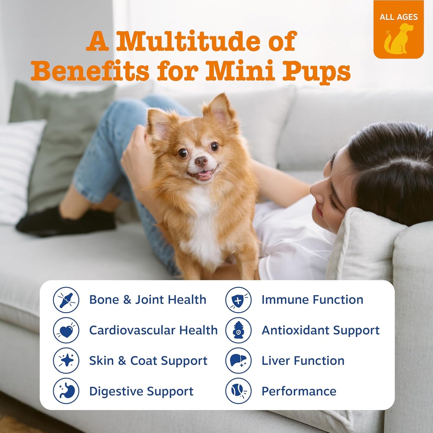 Dog Multivitamin, Chewable Dog Vitamins and Supplements for Hip & Joints, Skin & Coat, Omega 3 Fish Oil for Dogs- Senior & Puppy Multivitamin - Chicken Mini Bites- 90Ct