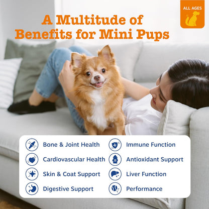 Dog Multivitamin, Chewable Dog Vitamins and Supplements for Hip & Joints, Skin & Coat, Omega 3 Fish Oil for Dogs- Senior & Puppy Multivitamin - Chicken Mini Bites- 90Ct