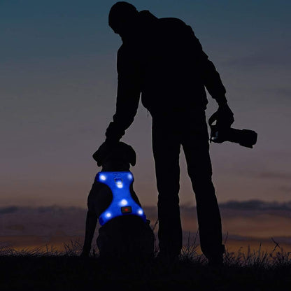 LED Dog Harness,Lighted up USB Rechargeable Pet Harness,Illuminated Reflective Glowing Dog Vest Adjustable Soft Padded No-Pull Suit for Small,Medium,Large Dogs (Blue, M)