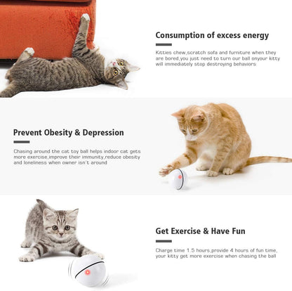 Interactive Cat Toys Ball with LED Light, 360 Degree Self Auto Rotating Smart Ball, USB Rechargeable Spinning Cat Ball Toy,Stimulate Hunting Instinct Kitten Funny Chaser Roller Pet Toy