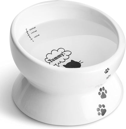 Elevated Cat Food Bowl, Ceramic Raised Bowl, Tilt Angle Protects Cat'S Spine, anti Vomiting Dish, Backflow Prevention, Lake Blue